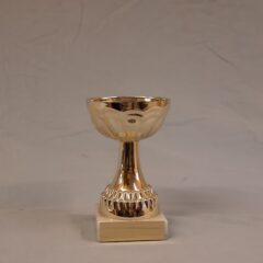 Pokal 10010-5