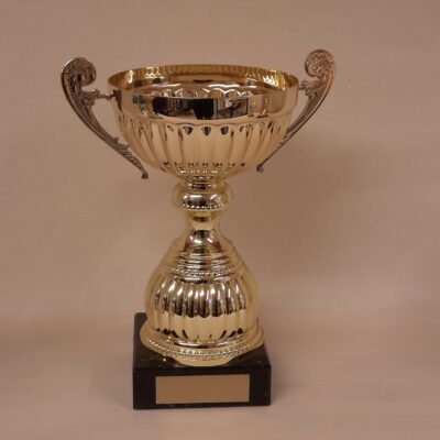Pokal 10070-1