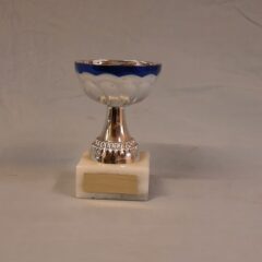 Pokal 10120-1
