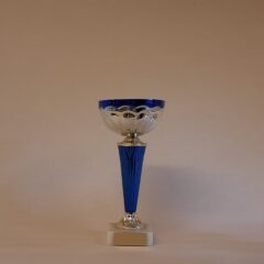 Pokal 10800-1