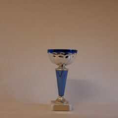 Pokal 10800-2