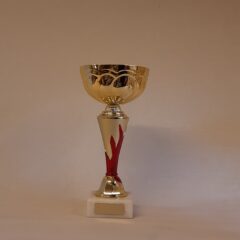 Pokal 10972-2