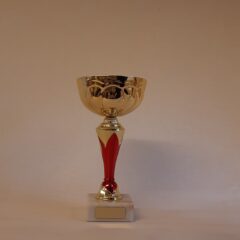 Pokal 10972-3