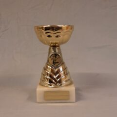 Pokal 12013