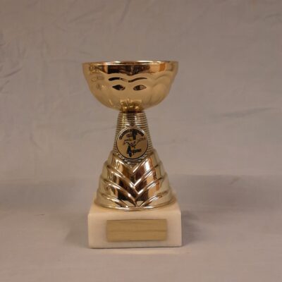 Pokal 12013