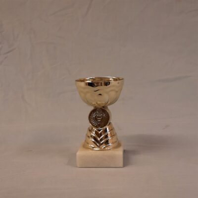 Pokal 12013-5