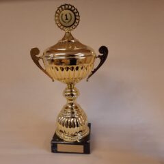 Pokal 15071-1