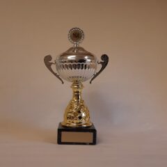 Pokal 15171-3