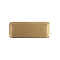 NAMNSKYLT 25X63MM GULD BORSTAD